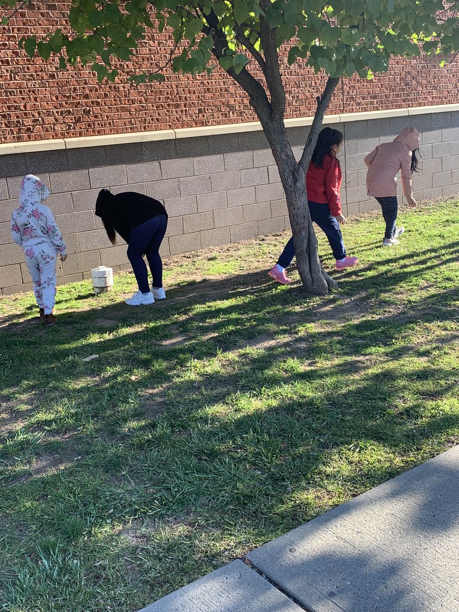 Round 2! Collecting natural materials to test the effects of rainfall! #parkavestrong #goodtogreat <a href="/PAES231/">parkaveschool</a> <a href="/Principal_MH/">Park Avenue School, Orange, NJ</a> <a href="/UrbanEducator81/">April Stokes</a> <a href="/Gerald_Fitzhugh/">Gerald Fitzhugh II, Ed.D. 👌🏾♦️👌🏾♦️KAY</a>