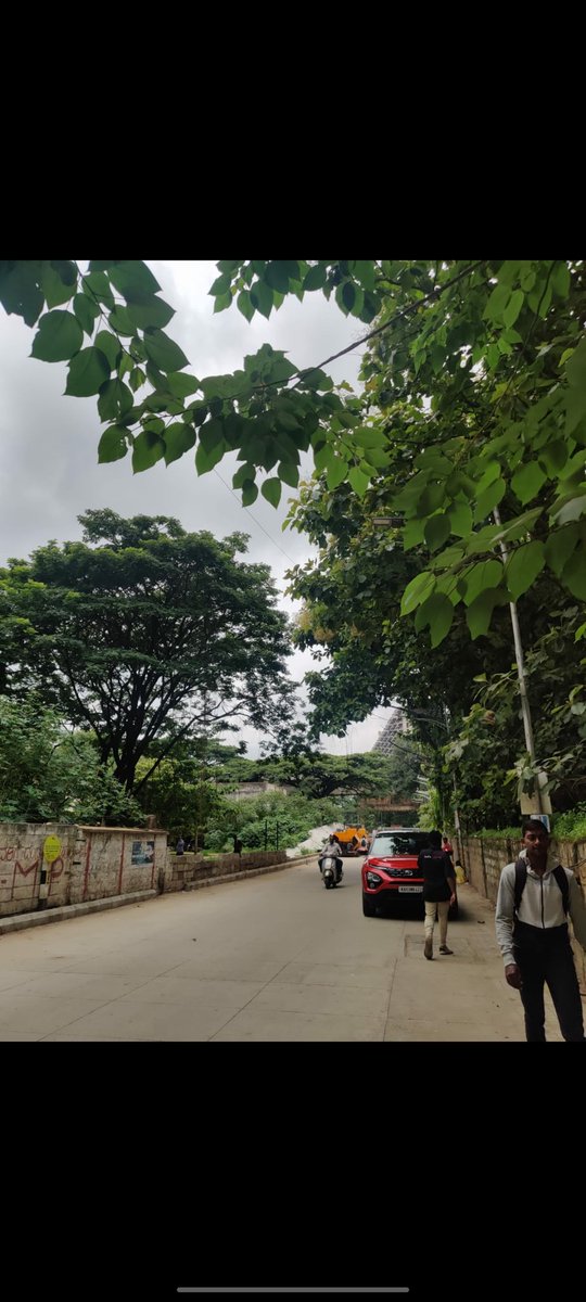 Nishanth_N_'s tweet photo. Hi @btppubliceye @yspuratrfps @blrcitytraffic  @peenyatrfps @rajajinagartrps  regarding a "Parking on main road" fine received Notice number - 48388472. I was in the vehicle when the photo was taken and the road does not have any "No Parking" signs put up. Help me resolve this https://t.co/OiclaYsWYt