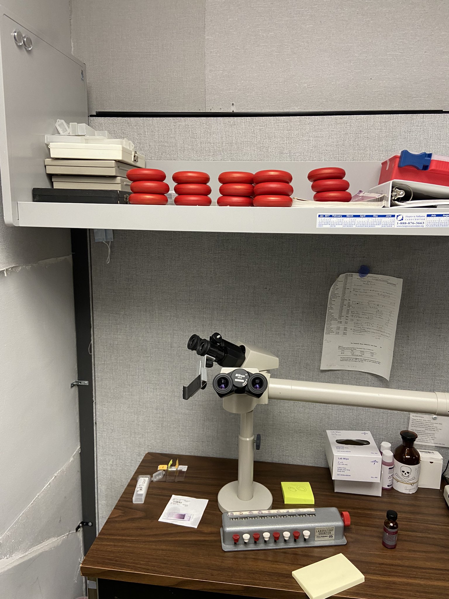 Leslie Ellis on Twitter "ASH_hematology faculty you can help spread