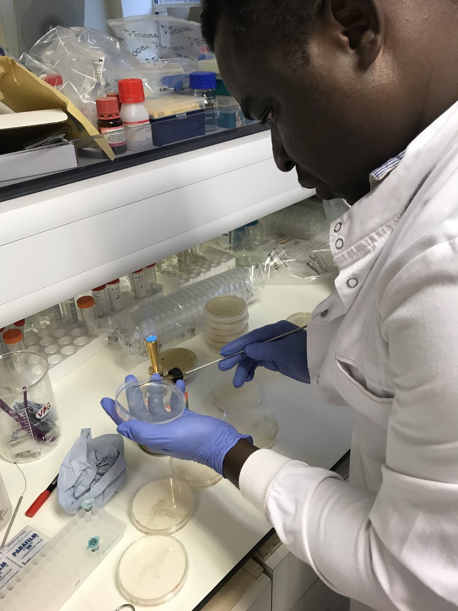 Francesco Baldini tweet media