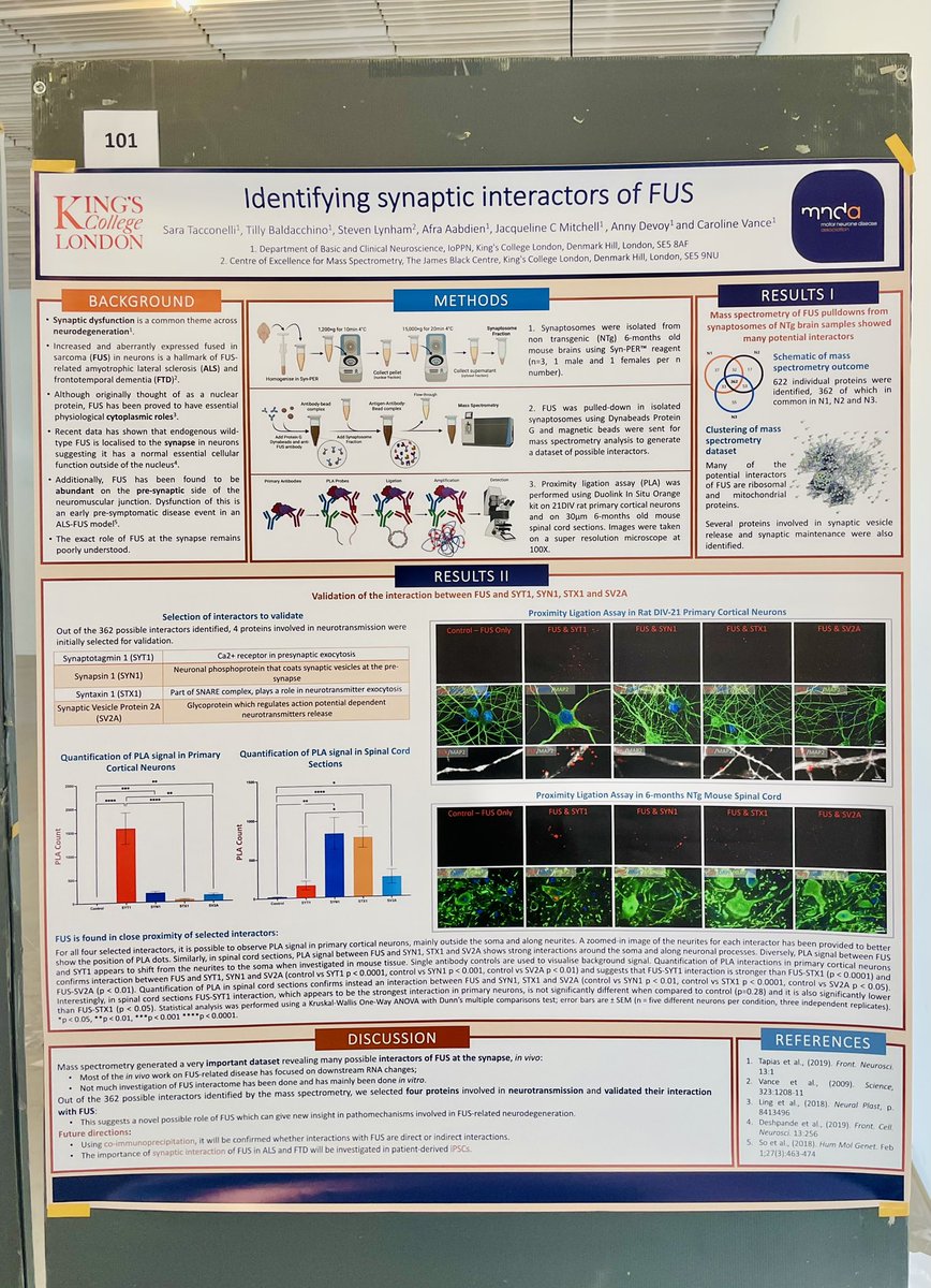 SaraTacconelli's tweet photo. Excited to be at my first ever in person conference! I will be presenting a poster at the 8th European Synapse Meeting in Coimbra! A great opportunity to discuss my PhD research 'Identifying synaptic interactors of FUS’ @VanceLabKCL 
📍 Convento São Francisco https://t.co/Eh39quEl2u
