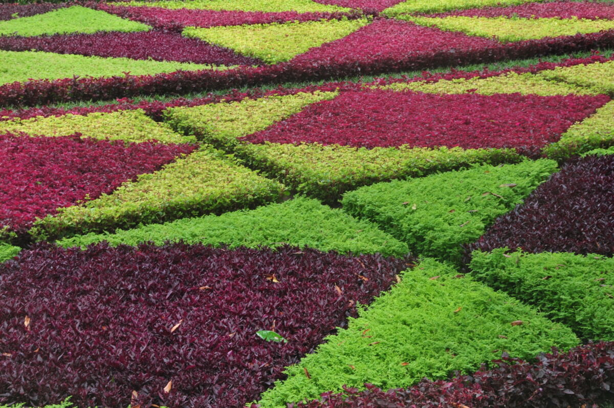 Iedere toerist die Madeira aandoet, ontkomt er niet aan: Jardim Botanico da Madeira wordt altijd in het programma opgenomen. Dat komt, omdat er hier veel te zien is en ook omdat de tuin zich ook nog eens op een fraaie locatie bevindt.
gardentours.nl/tuinen/jardim-…