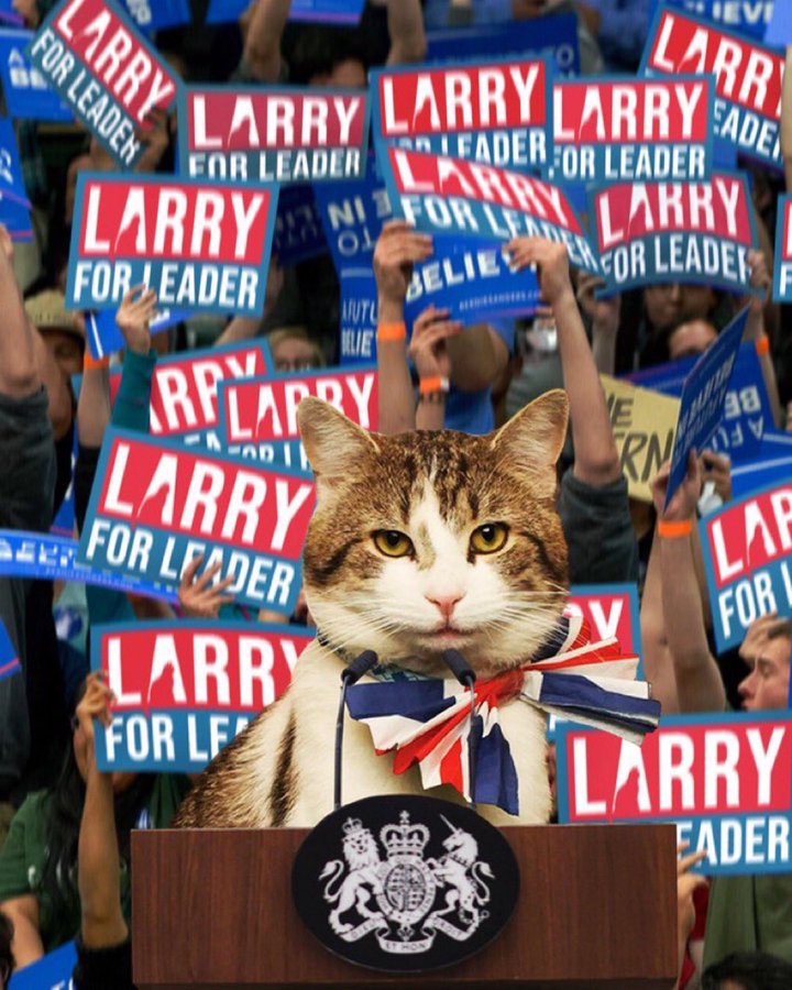 Twitter is bowing down to Larry the Cat, Downing Street's Chief Mouser, for  outlasting 4 prime ministers