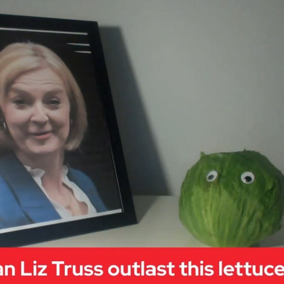 In Quires and Places Where They Meme tweet media