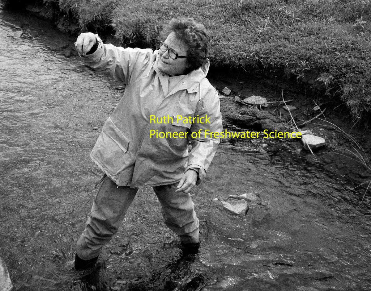 Núria Catalan and colleagues - Great paper on women in limnology across time! I loved the exhibit in Combria in 2018.  doi.org/10.1002/wat2.1… <a href="/DrBioGC/">Emily Bernhardt</a> @DrNitrogen @JenniferLTank <a href="/HydroFrankfurt/">Hydrology Frankfurt</a> <a href="/CarolFolt2/">Carol Folt</a> <a href="/BenthosNews/">Freshwater Science</a> <a href="/SIL_limnology/">SIL Limnology</a> <a href="/AIL_limnologia/">AIL Limnología</a>