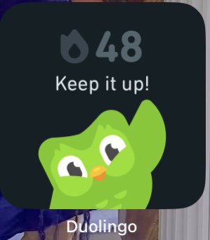 My Duolingo streak officially lasted longer than Liz Truss