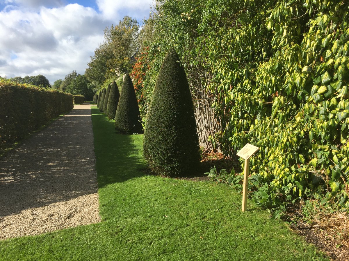Presenting “Rhizomes”, a poetry and soundscape collaboration with <a href="/JessicaTraynor6/">Jessica Traynor</a>  21st-23rd October <a href="/IMMAIreland/">IMMA</a>. 

The 6 poems and soundscapes are presented on wooden signs located adjacent to each relevant plant species.

#EarthRising