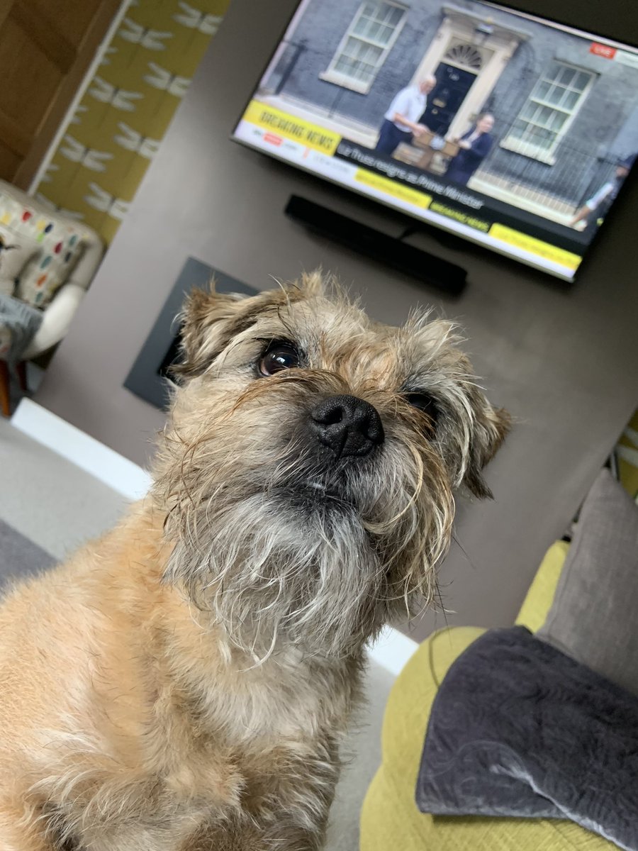Lord Duncan Pickles tweet media