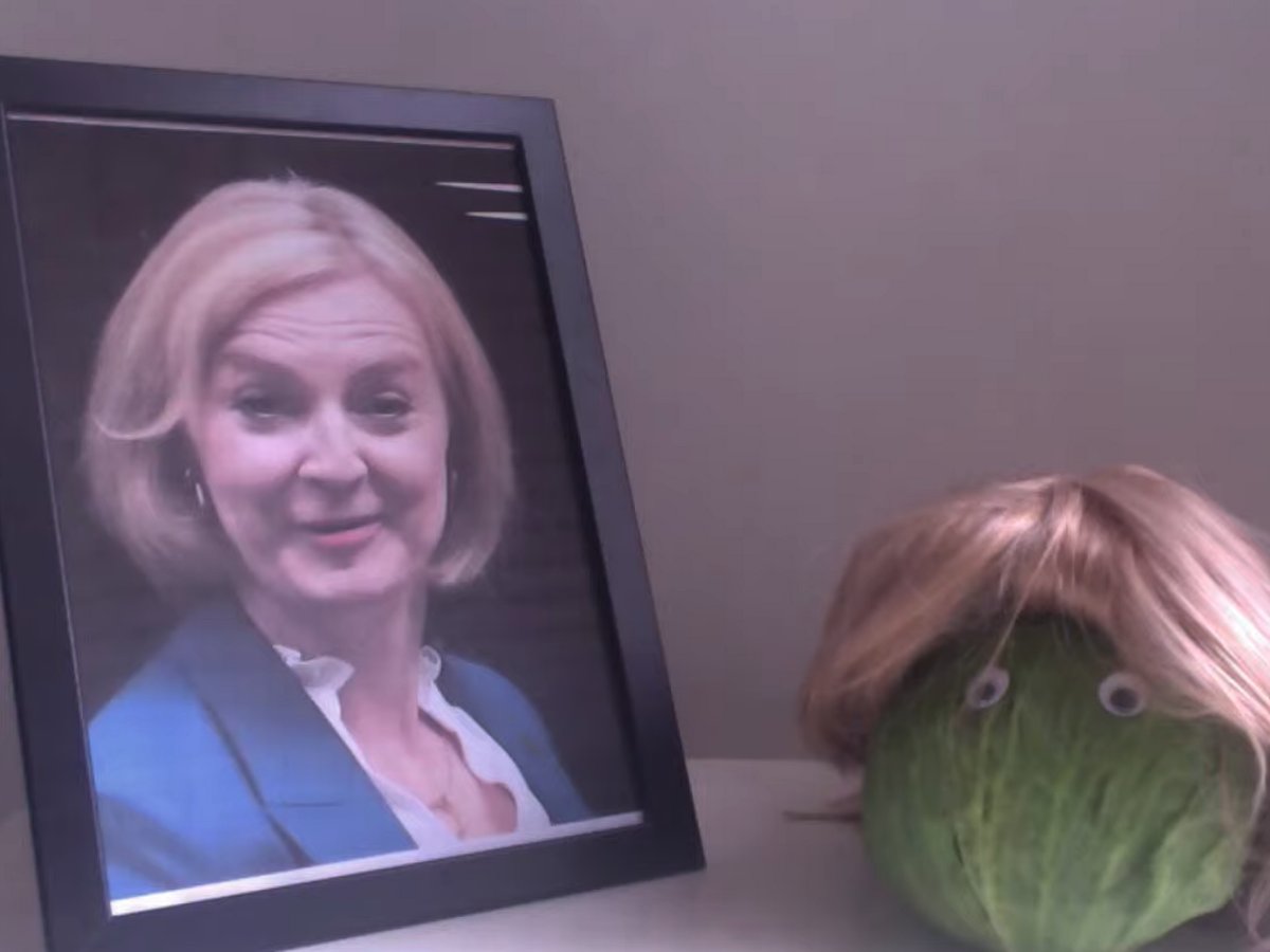 I never doubted the lettuce...