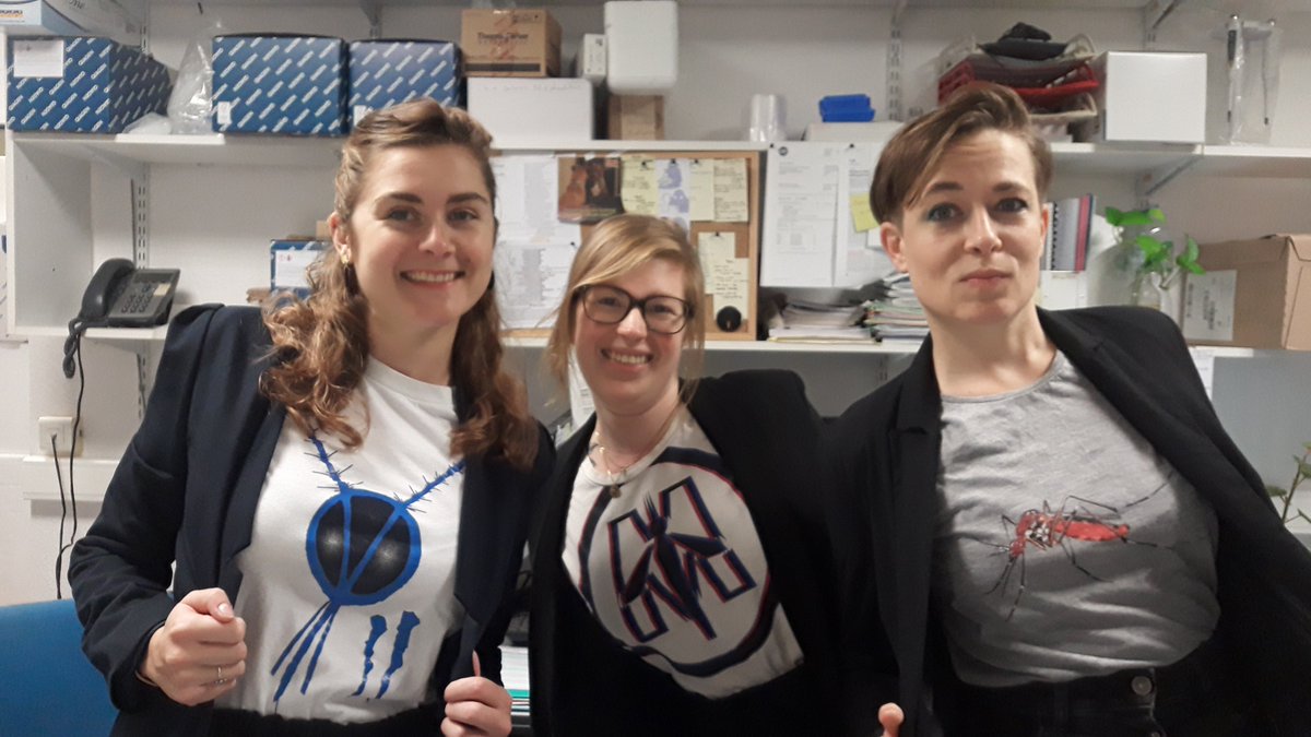 Lison Laroche tweet media