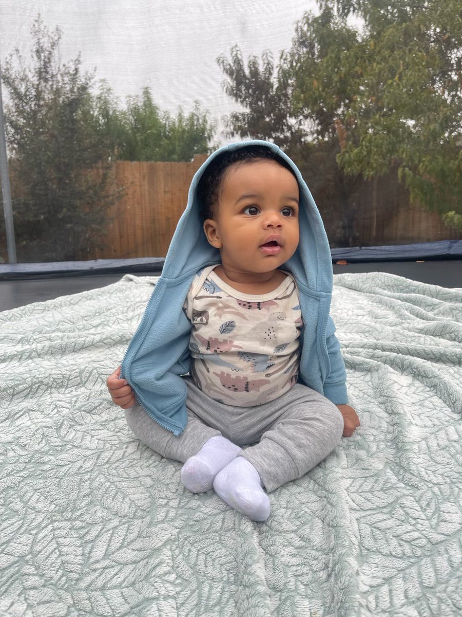 💿 PREVAIL tweet media