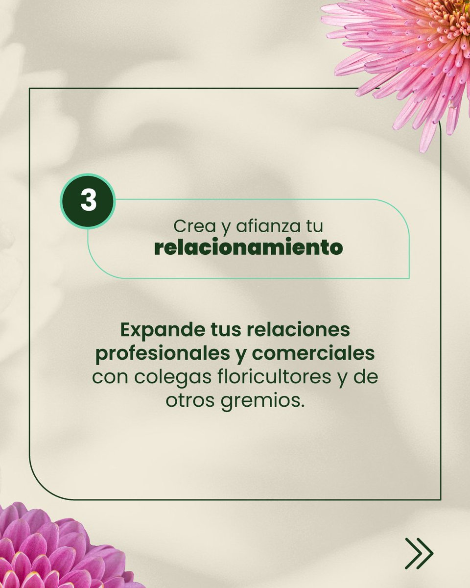 ceniflores's tweet photo. ¿Quieres saber las 3 razones principales por las cuales deberías asistir a Siflor 2022?
🧠 Conocimiento
👥 Networking
🤝 Relacionamiento
¡Inscríbete! 👉 https://t.co/3u3fnwsHQA
@siflorcolombia
#siflor #Siflor2022 #floristeriascolombia #floricultura #cultivodeflores https://t.co/5rOb4hkm0a