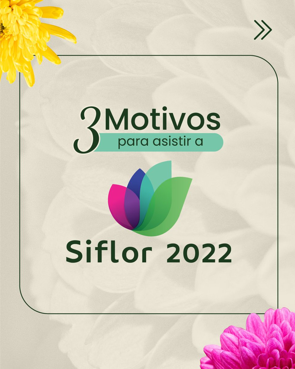 ceniflores's tweet photo. ¿Quieres saber las 3 razones principales por las cuales deberías asistir a Siflor 2022?
🧠 Conocimiento
👥 Networking
🤝 Relacionamiento
¡Inscríbete! 👉 https://t.co/3u3fnwsHQA
@siflorcolombia
#siflor #Siflor2022 #floristeriascolombia #floricultura #cultivodeflores https://t.co/5rOb4hkm0a