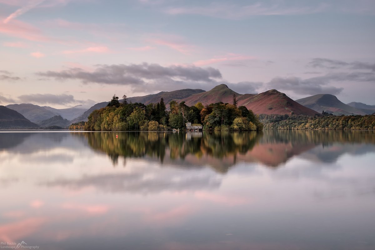 Phil Buckle tweet media