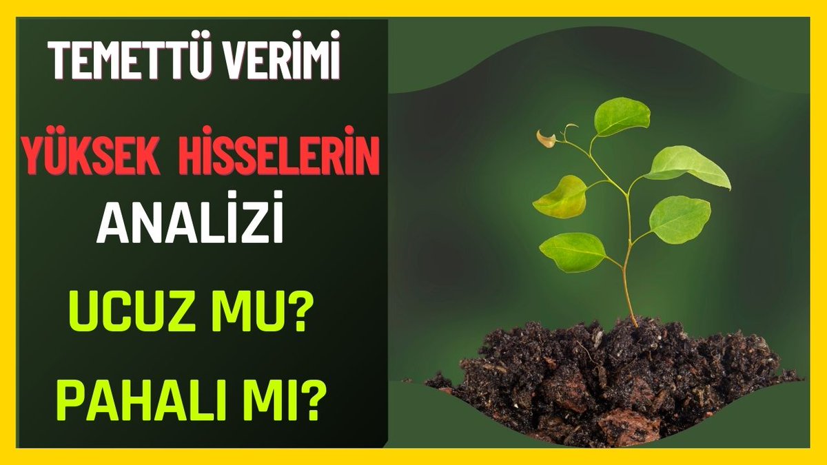 Temettü Verimi Yüksek Hisselerin Analizi Ucuz mu? Pahalı mı?
#temettühisseleri #temettü #bist #xu100

youtu.be/cWH8PFokoGA