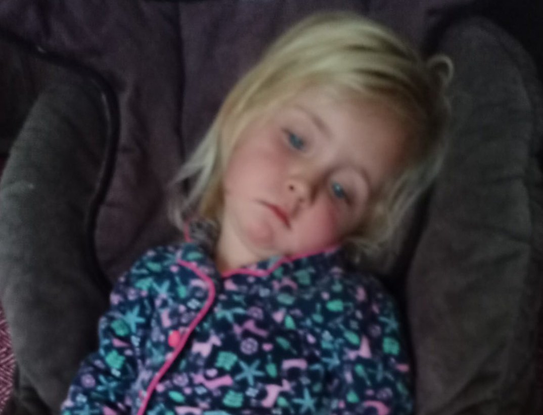 Even my 2-year-old has lost faith in the political system