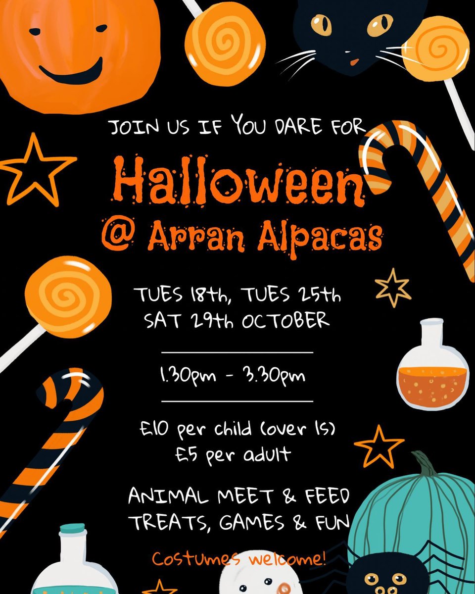 cottagesonarran's tweet photo. Still plenty of #thingstodo on #Arran.  @arranalpacas   have some afternoon #Halloween tours in October.  
@visitarran   #schoolholidays #autumnbreak #alpacas https://t.co/Rrqw4Arxfv