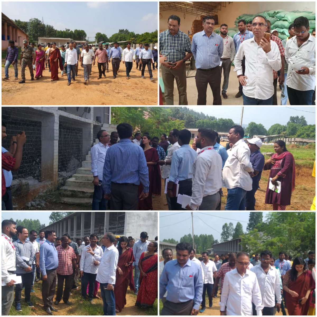 DipaRayagada's tweet photo. Visited 90,000 capacity layer farm taken up under MKUY Scheme at Boxi Siripur, Hatamuniguda with Shri Suresh Kumar Vashishth, Commissioner-cum-Secretary to Govt. Fisheries &amp; ARD Department, Collector &amp; DM Rayagada, DM APICOL and CDVO. @DM_Rayagada @farddept @dipaops @DebDasOri https://t.co/mjwPzO5URU