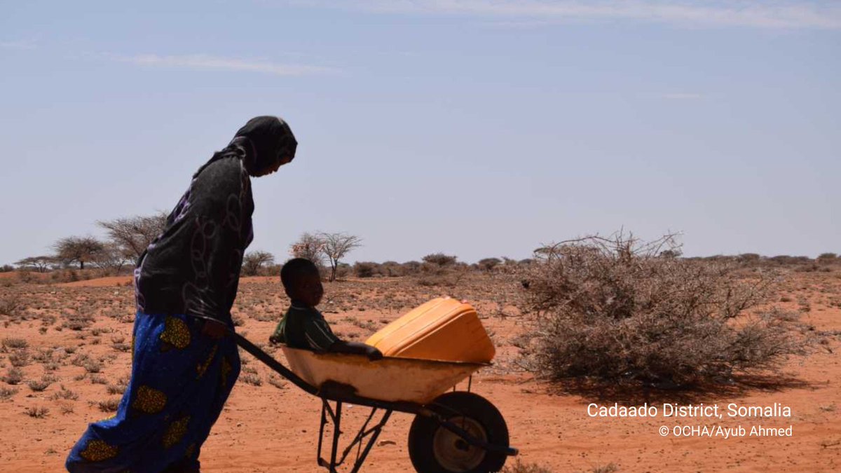 Galbedo lost her livelihood due to the #droughtinSomalia. She now owns a small business in a settlement camp &amp; earns a profit.  

With the cash transfer from a local partner supported by <a href="/shf_somalia/">Somalia Humanitarian Fund</a>, she could repay her debts &amp; provide for her children. 

unocha.org/story/somalia-…