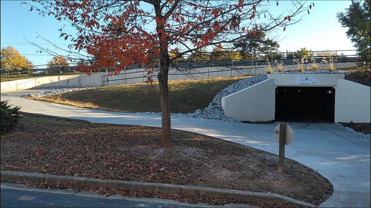 Georgia Bikes tweet media