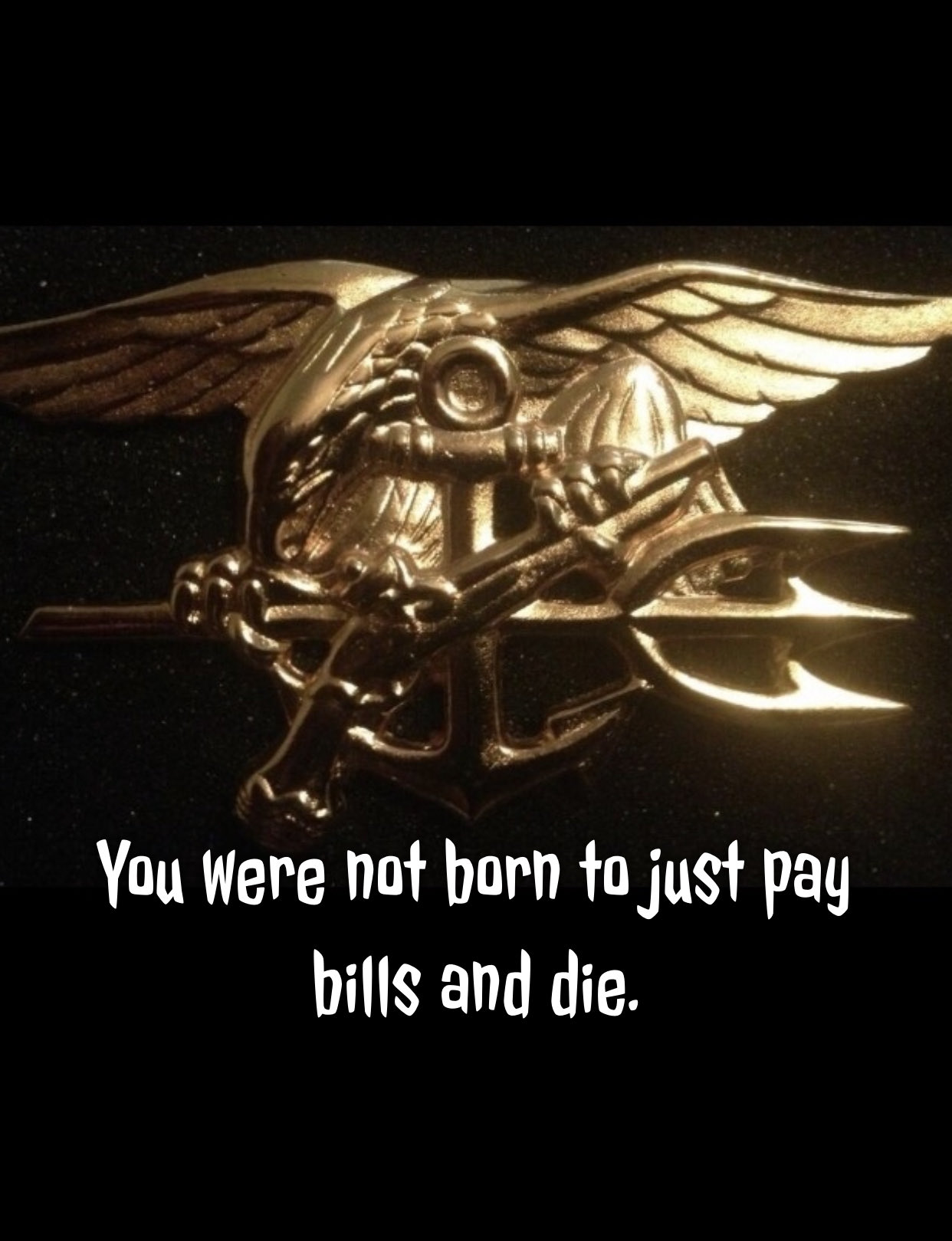 Chuck Pfarrer Indications & Warnings on Twitter "r3b3lfrogman And