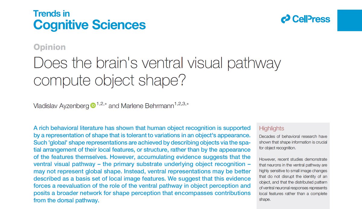 Super excited to share this opinion piece Marlene Behrmann and I have been working on for <a href="/TrendsCognSci/">Trends in Cognitive Sciences</a>!

Here we asked: Does the ventral visual pathway represent object shape?  🧵👇

authors.elsevier.com/a/1fxtD4sIRvLY…