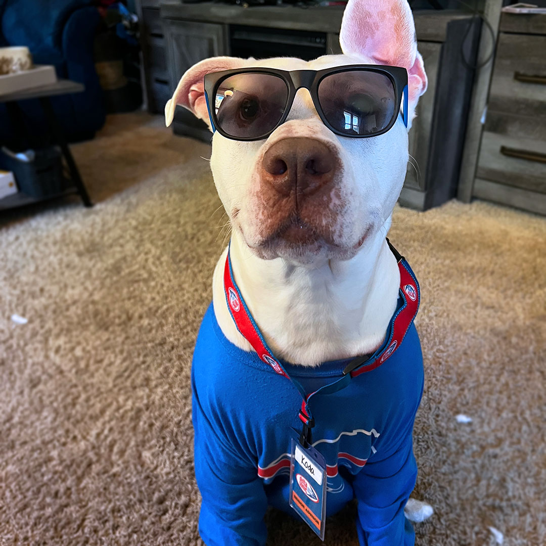 DeltaSonicWash's tweet photo. Meet the newest and cutest members of the Delta Sonic team!🐾 (Part 1)
#deltasonic #carwash #teammembers #dogsofdelta https://t.co/sJyuzx6n4r