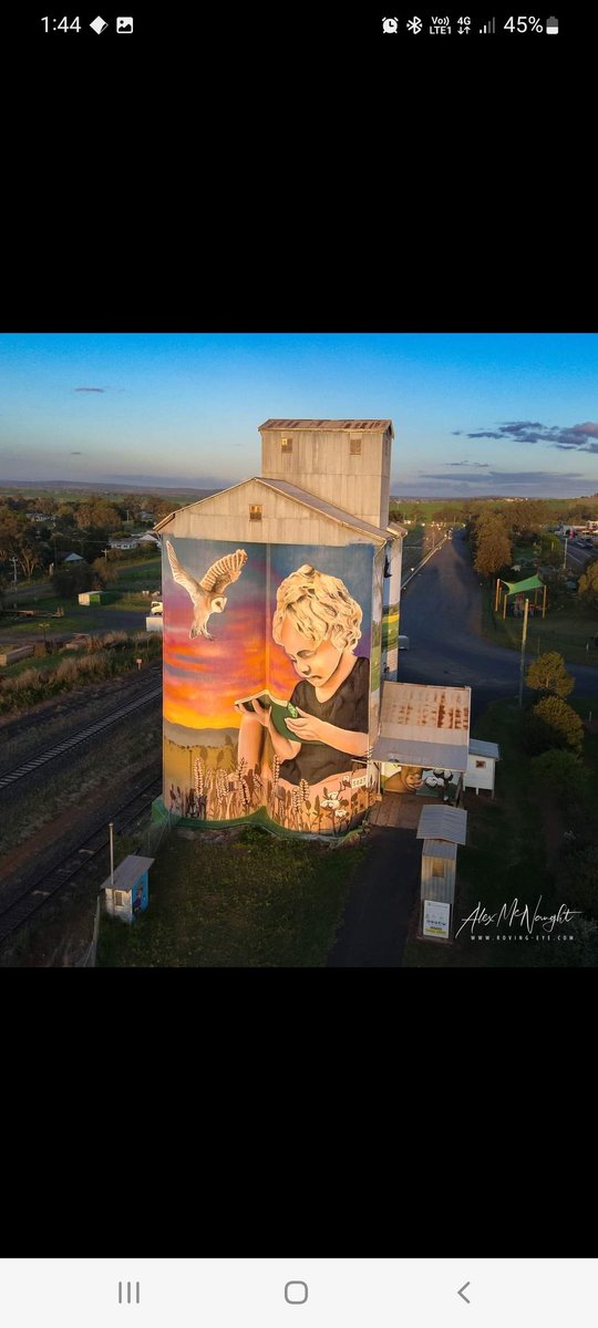Drule_art's tweet photo. Great shot of my silo I painted. 
Love to do another. 

#largescalemurals #artme #art 
#spraypaint #hitit #murals https://t.co/aalTKkF7fA