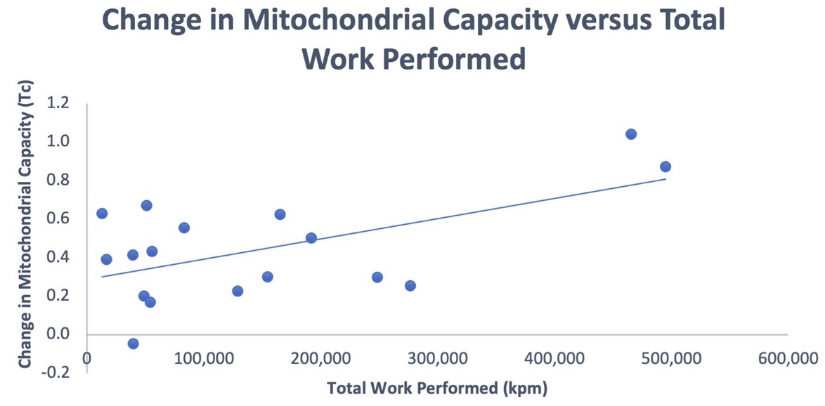 VMJ_SVM's tweet photo. More evidence for #exercise therapy in #PAD
Work during treadmill rehabilitation correlates with clinical benefit and muscle mitochondrial improvements in claudication
https://t.co/cLtYq2hEcV https://t.co/tQjhp1G1vo