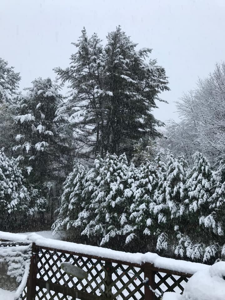 Muskoka411 News tweet media