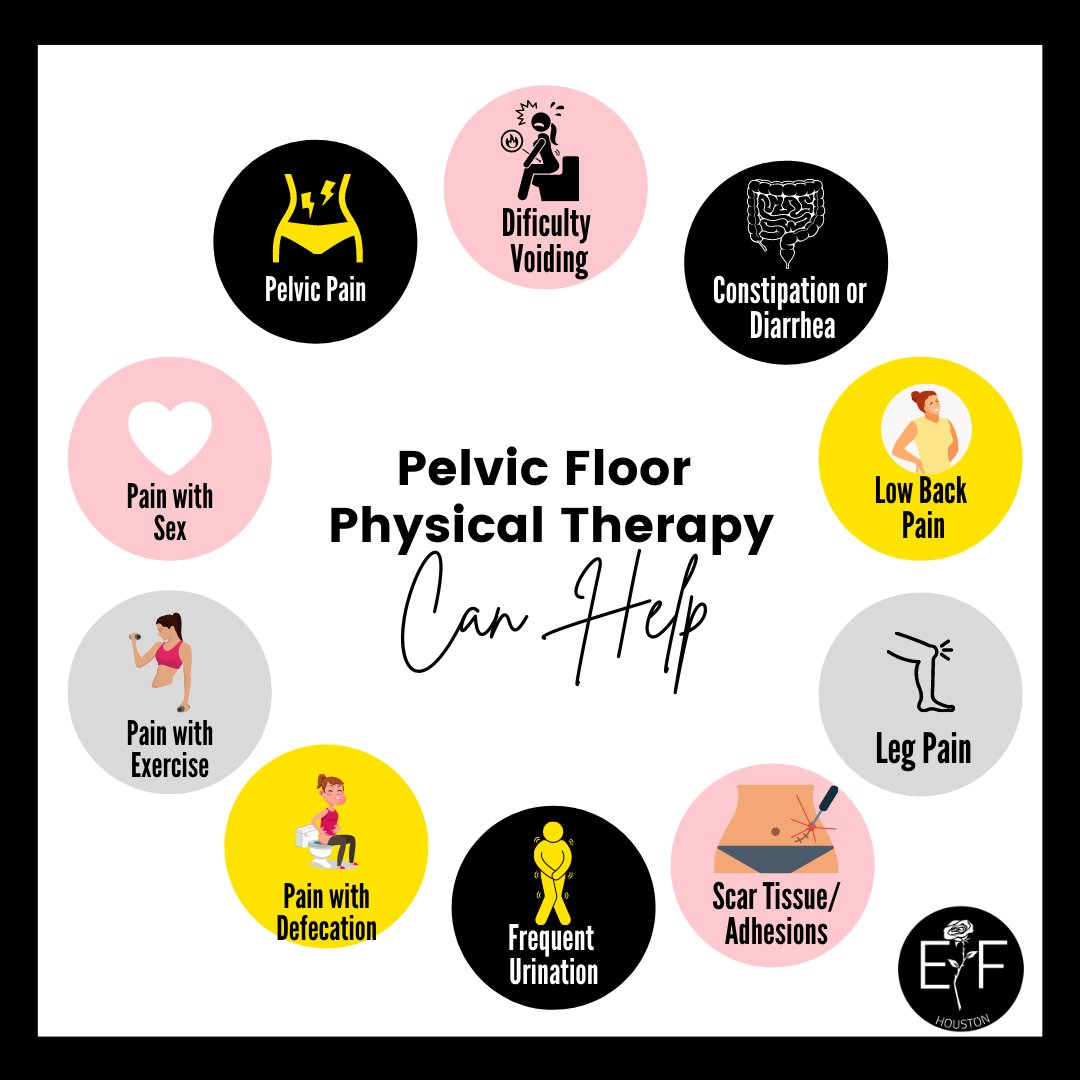 ef_hou's tweet photo. Pelvic floor physical therapy can help alleviate pain in the pelvis, hips, legs, and low back; assist with problems with urinating and defecating; aid in improving mobility, and help make vaginal penetration easier. 

#rethinkendo #healinghou #endometriosis  #hou #pfpt #efhou https://t.co/m9Jg8e7MHd