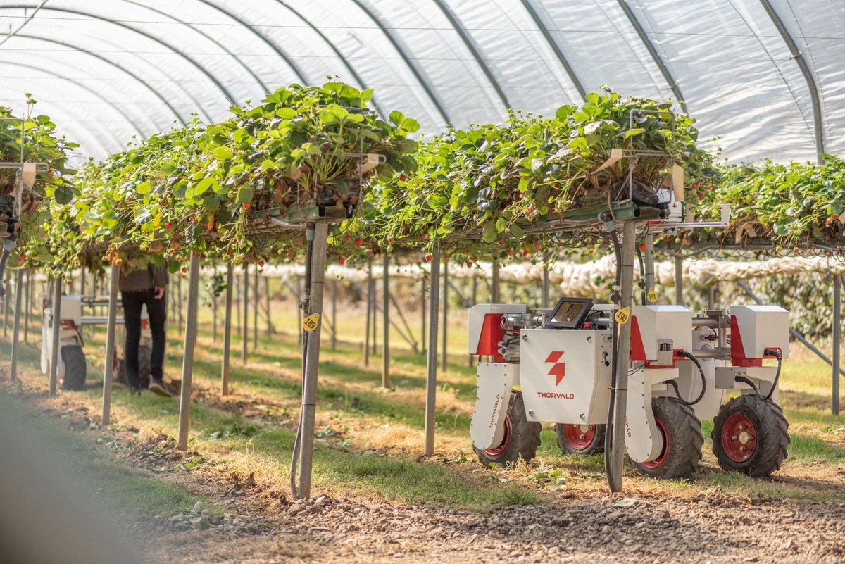 A glimpse into the future of fruit picking, where robots will assist growers in carrying out essential tasks, has been successfully showcased to industry by MEU partner <a href="/unilincoln/">University of Lincoln, UK</a> 

Read more about this fascinating work here:  ow.ly/TrEC50LgwI5