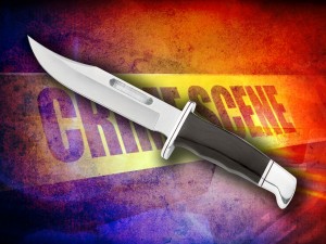 19-year-old woman stabbed 5 times in Janesville, suspect arrested bit.ly/3DdRcAt