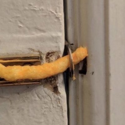 pwchan222's tweet photo. #NewProfilePic (新個人資料照片) https://t.co/MD4Vu0Mfag
