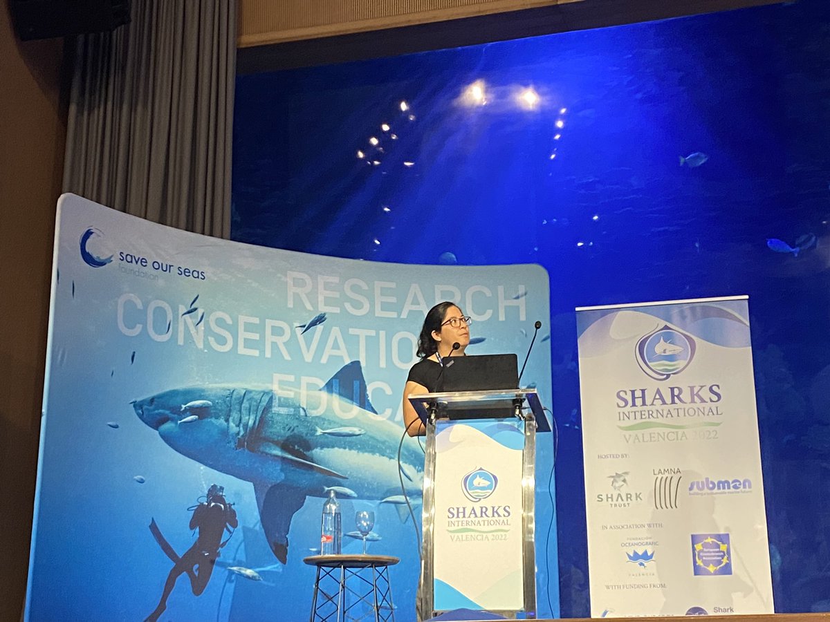 Colin Simpfendorfer (@sharkcolin) on Twitter photo <a href="/Diany_pj/">Diana Pazmiño</a> smashing it at <a href="/SharksInt2022/">Sharks International</a> talking about sharks and rays in the Galapagos Marine Reserve using BRUVS and eDNA. #SharksInternational2022 <a href="/Diany_pj/">Diana Pazmiño</a> smashing it at <a href="/SharksInt2022/">Sharks International</a> talking about sharks and rays in the Galapagos Marine Reserve using BRUVS and eDNA. #SharksInternational2022
