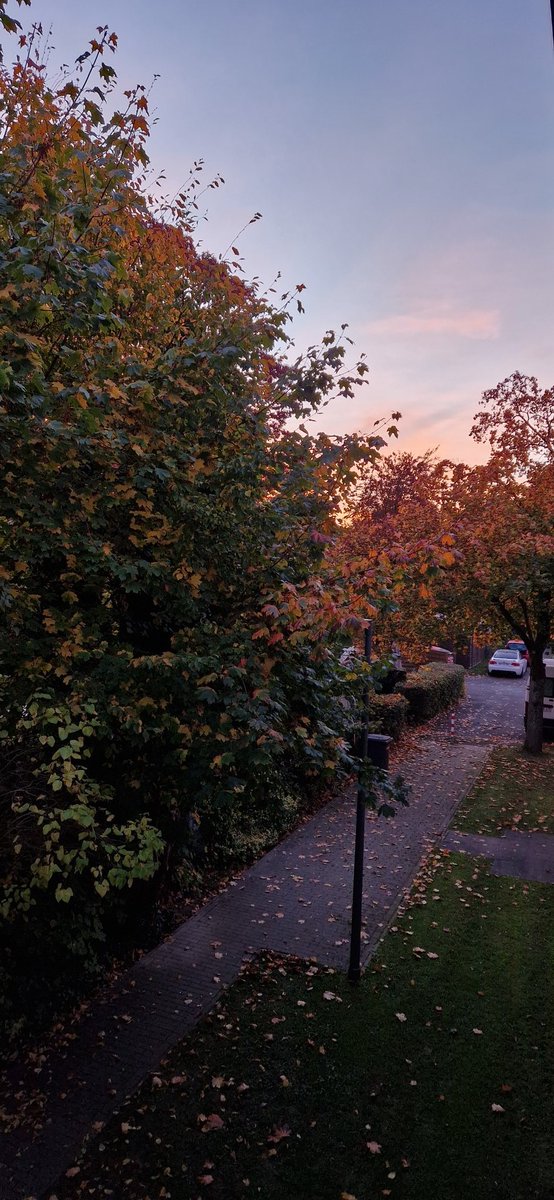 Der frühe Blick aus dem Fenster heute. #Herbst total.
#derfrühevogel
<a href="/herfordtweets/">Herford Tweets</a>
@StadtHerford