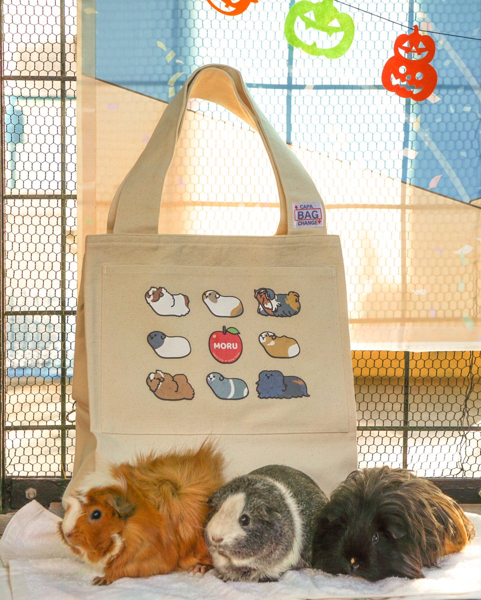 もっともっとモルモット／ オンライン限定の #モルモットート は好きな