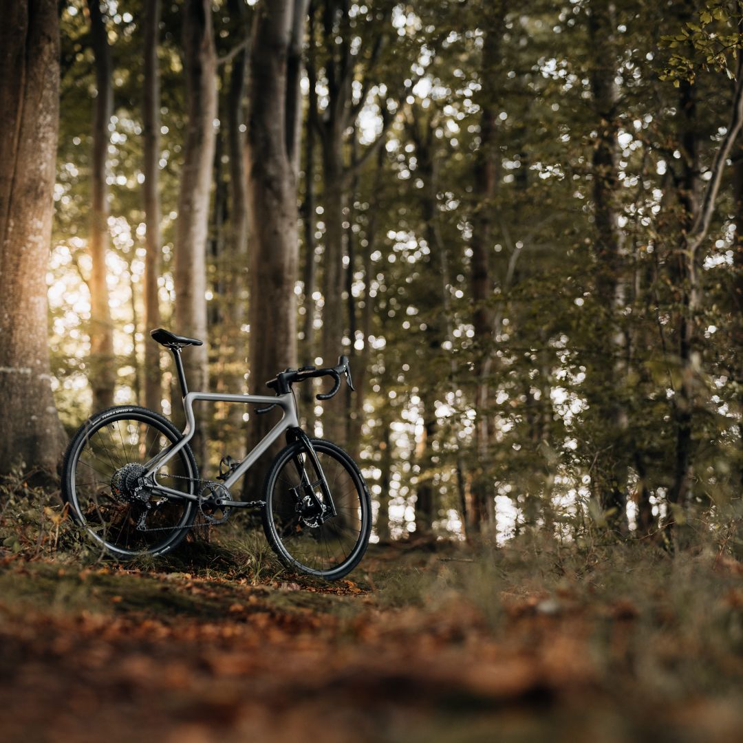 urwahnbikes's tweet photo. GRAVELTASTISCH IN DEN HERBST

Die Luft ist klar, die Herbstsonne auf deiner Seite - und deine Lust nach Graveln ist nicht zu bremsen? Na dann nix wie los und ab auf´s Waldwiesel mit dir.

Probefahrt buchen und ab in die Natur: https://t.co/rUdAtvBjX7 https://t.co/uB7Sm9iSAx
