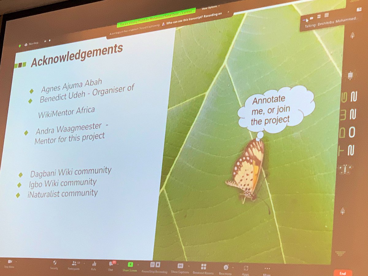 Sub-Saharan Africa is poorly represented in <a href="/GBIF/">GBIF @biodiversity.social/@gbif</a>. <a href="/dnshitobu/">Mohammed Kamaldeen Fuseini</a> (and this African butterfly) encourage all to contribute to <a href="/inaturalist/">iNaturalist</a> &amp; join Wiki Mentor Africa so <a href="/Wikipedia/">Wikipedia</a> stubs can be created/expanded for missing species. #TDWG2022 wikidata.org/wiki/Wikidata:… cc <a href="/andrawaag/">Andra Waagmeester @andrawaag@genomic.social</a>