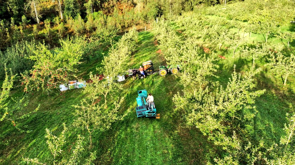 Igor Ferreras tweet media