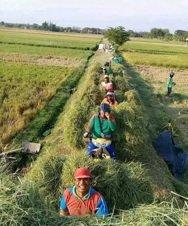 <a href="/MOCH216/">CAH ALAS</a> @paimin_sastradj <a href="/_XPai/">Paing.</a> <a href="/progorejosari/">Kenangan Jembatan SERIBU JANJI</a> <a href="/sugengducting/">Sugeng priyono</a> <a href="/Guz_sholehh/">Guz sholeh</a> <a href="/taaakif/">taaakif</a> Seh ngariturong moleh