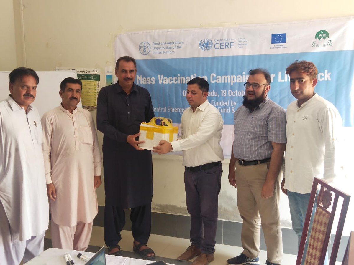 Post-flood health care of surviving livestock is of utmost importance. FAO-Pakistan in close collaboration with the Livestock Department has launched a #livestock vaccination campaign in #Sindh starting from district Dadu. Thanks to ##CERF &amp; #ECHO_AAP for their generous funding.