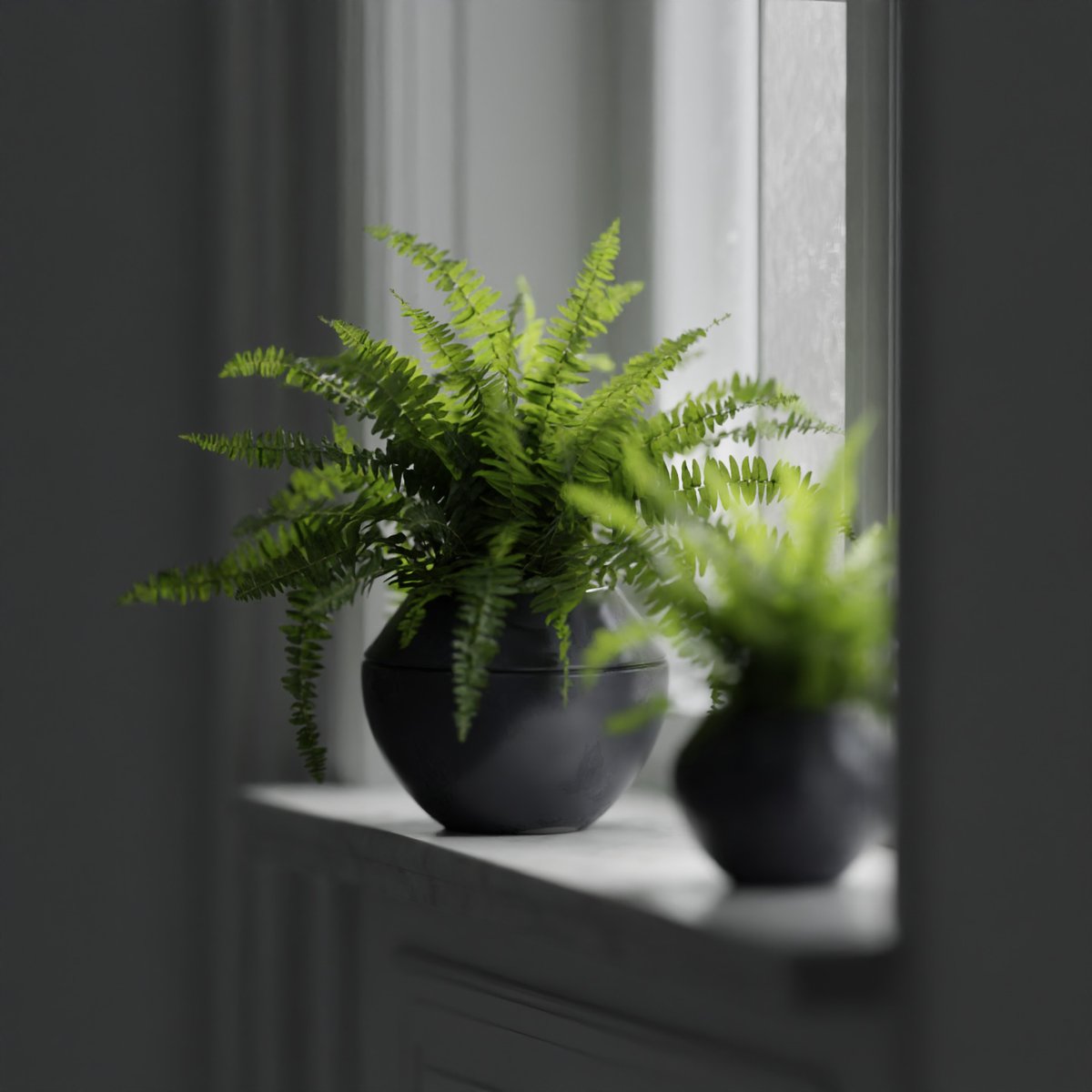 pbrcraft's tweet photo. free 3d fern model https://t.co/PthRFizfkv https://t.co/1qEuDjM3AR