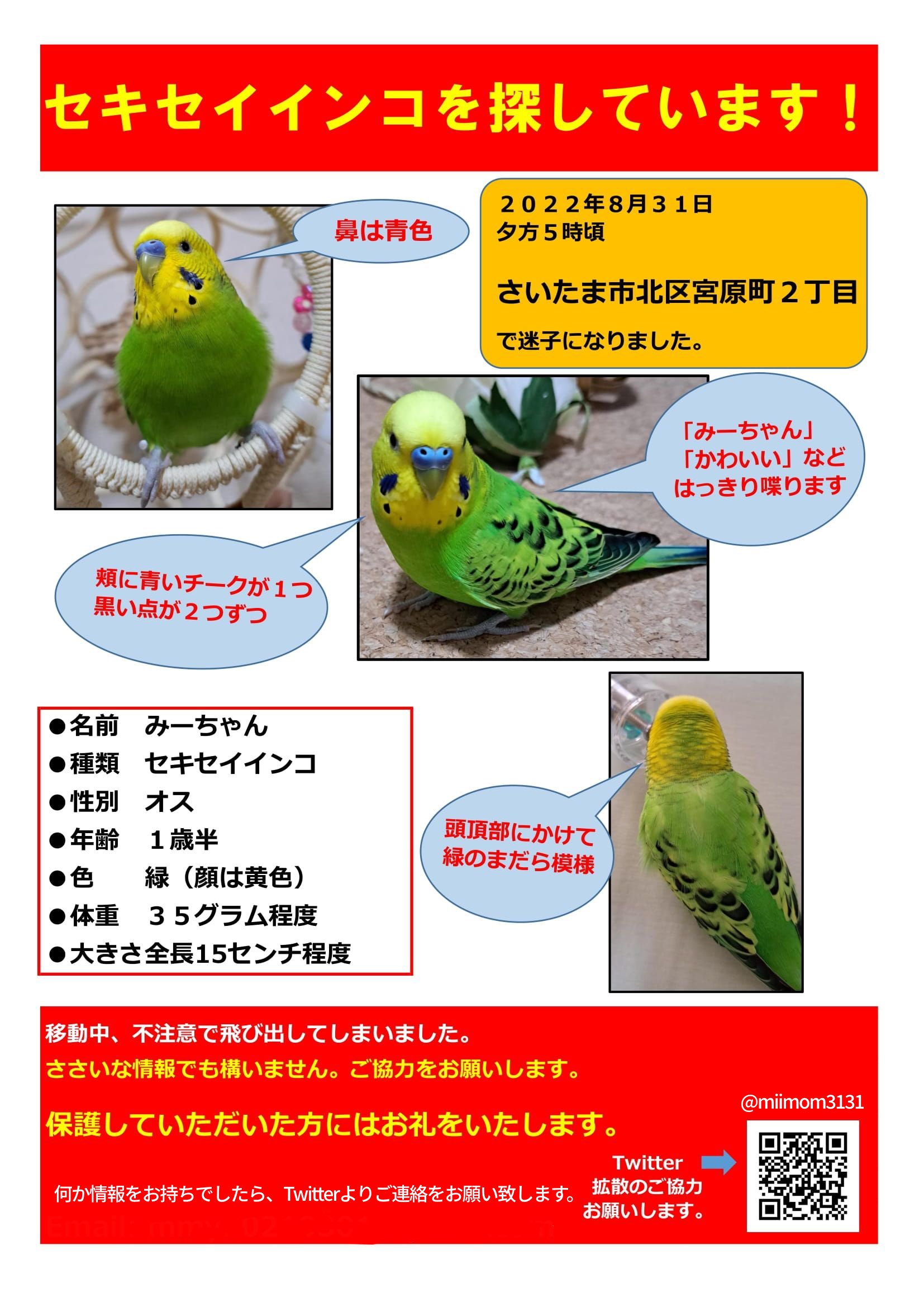 なもも Namomo 4612 Twitter