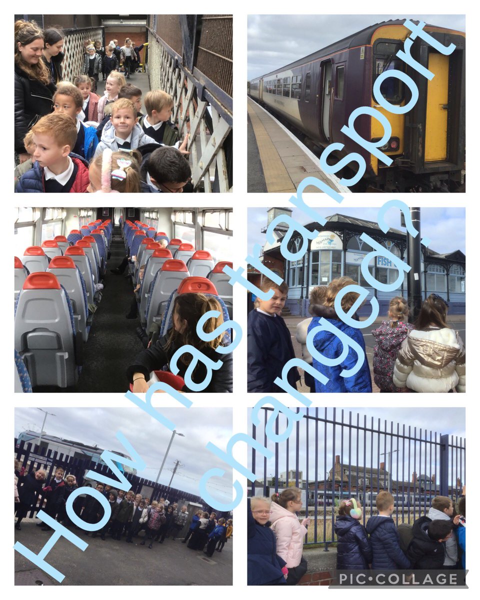 BluebellClassMPA tweet media