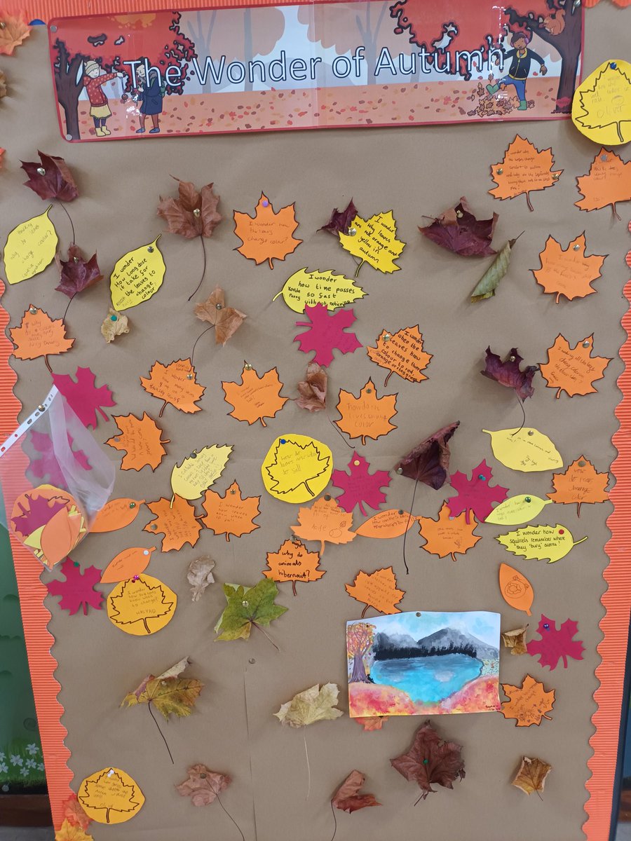 Reflecting on autumn