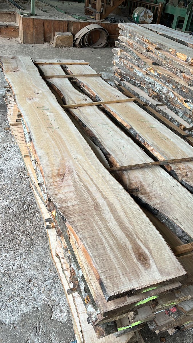 Esta semana, dentro del marco del <a href="/go_fagus/">Grupo Operativo GO Fagus</a> , nos hemos desplazado junto a nuestros socios de <a href="/FCesefor/">Fundación Cesefor</a> y <a href="/agrestascoop/">AGRESTA S. Coop.</a>  al aserradero del #GrupoGamiz en Campezo. Allí llevamos a cabo los trabajos de trazabilidad y clasificación visual de la #madera de #haya de Olazti y de Burgos