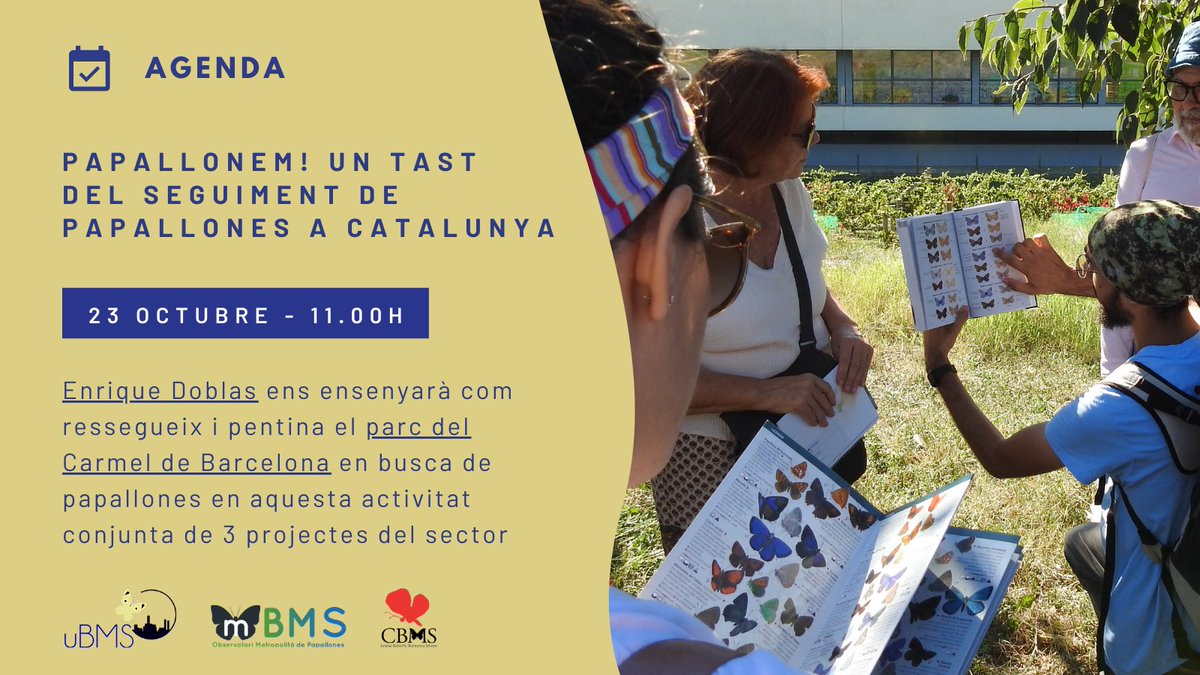 CREAF_ecologia's tweet photo. Alcem el vol amb les #papallones! 🦋
Vols conèixer com funcionen tres projectes punters de seguiment d'aquests insectes a #Catalunya? Acompanya'ns aquest diumenge al parc del Carmel de #Barcelona! 📍
Inscriu-te a https://t.co/8bNqWQ06MH 👈 https://t.co/U8PC1M09cO