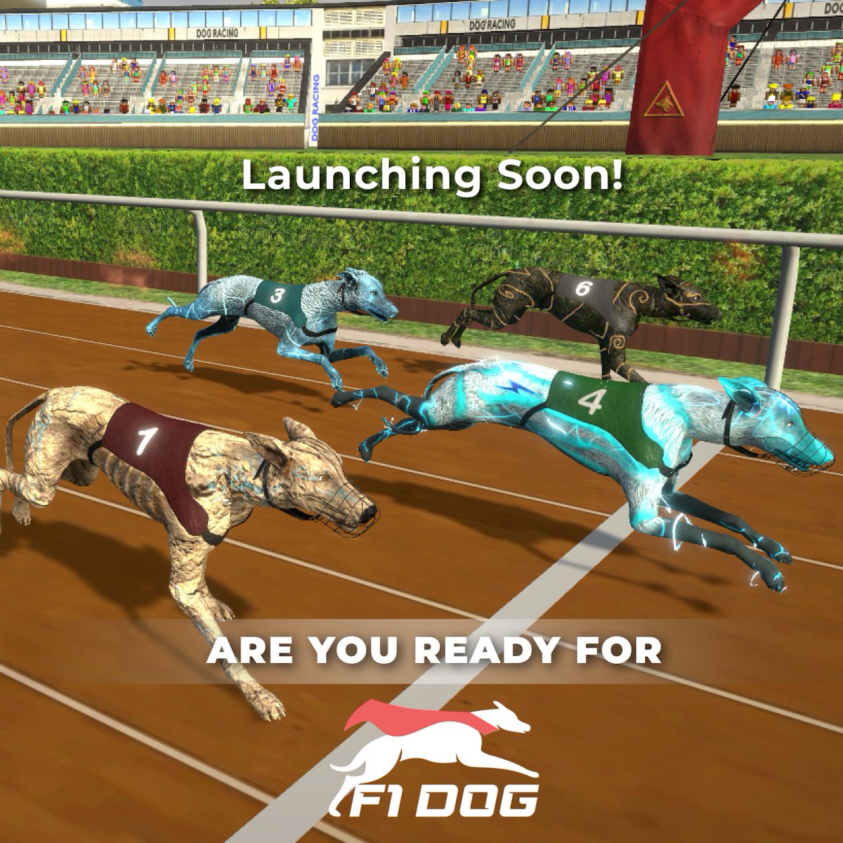 🔥F1D is born to race! So let's race to our launch.

More details soon, be ready.

Join us: discord.gg/qFbrCWjJpk