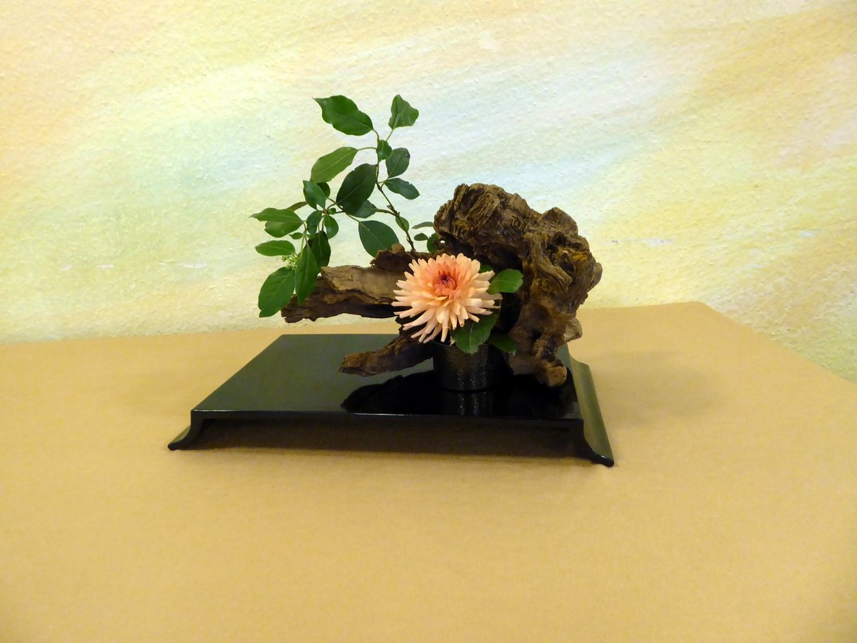 Ikebana - die japanische Kunst des Blumenstellens
Seien Sie dabei ,wenn es am 29.10.2022 um Holz-Wurzeln und Trockenmaterial geht. Jedes Arrangement bringt den großen Respekt vor der Natur, der in der japanischen Kultur tief verwurzelt ist, zum Ausdruck.  vhs-leverkusen.de/programm/kurs/…
